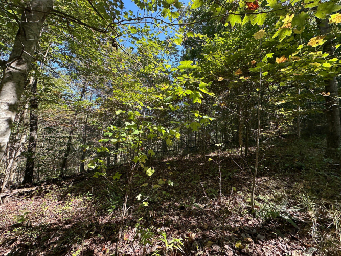 Listing Image 61