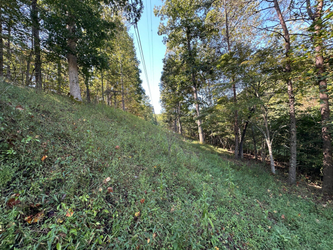 Listing Image 62
