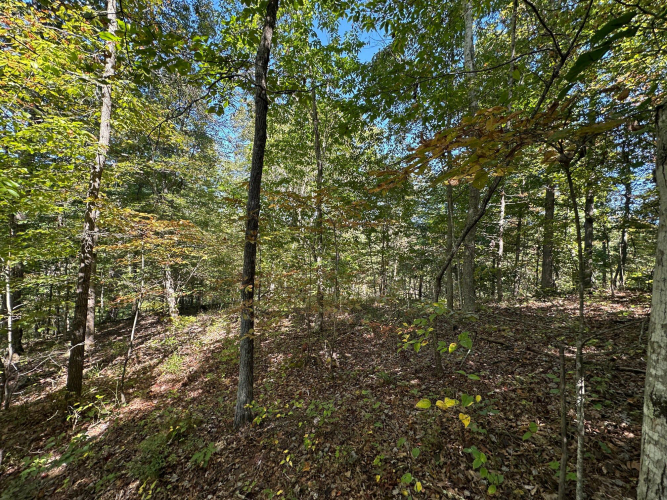 Listing Image 63