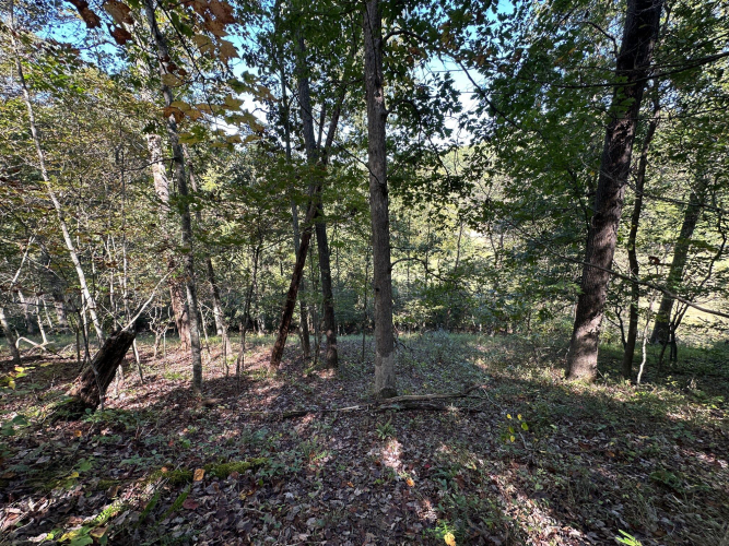 Listing Image 66