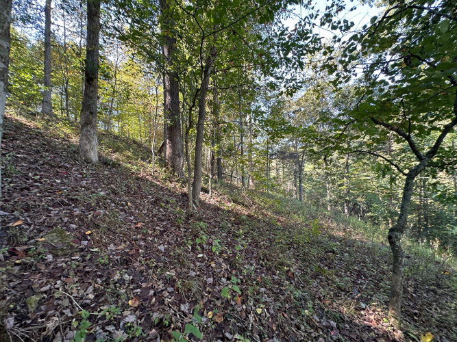 Listing Image 67
