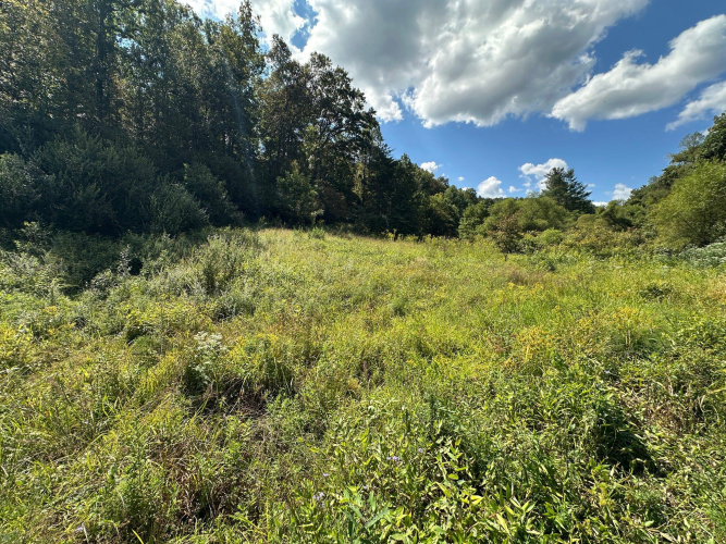 Listing Image 69