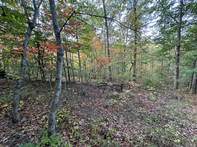 Listing Image 70