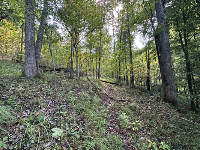 Listing Image 71