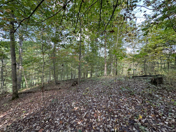 Listing Image 72