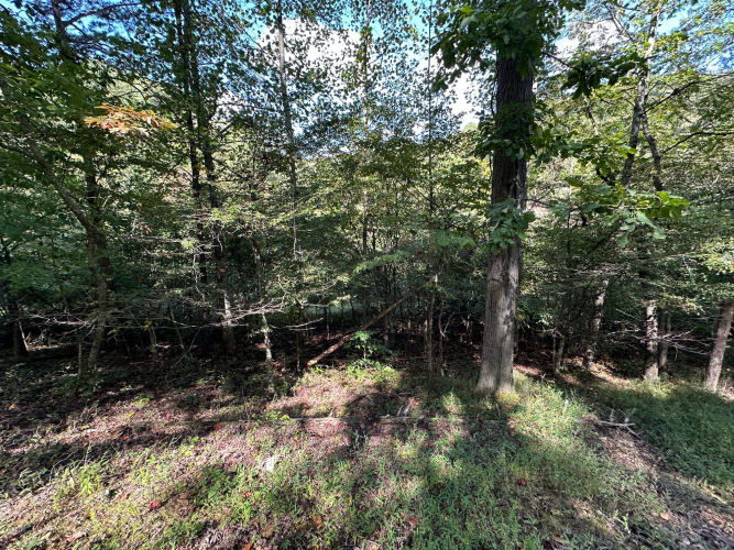Listing Image 73