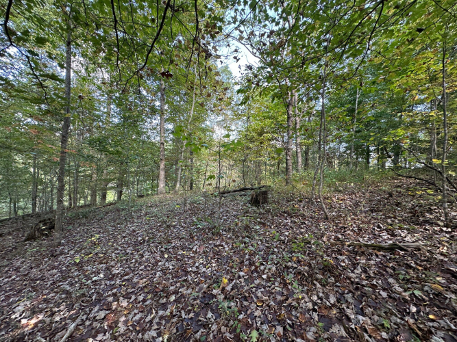 Listing Image 75