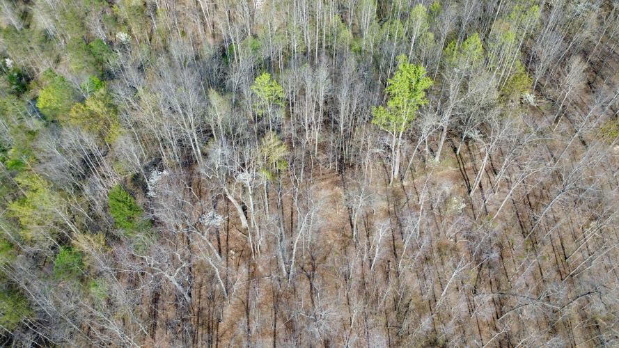 Listing Image 77