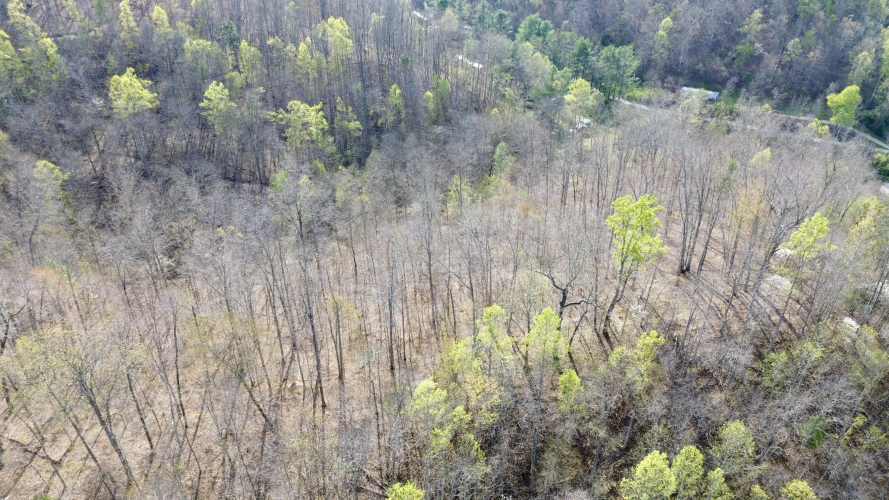 Listing Image 79