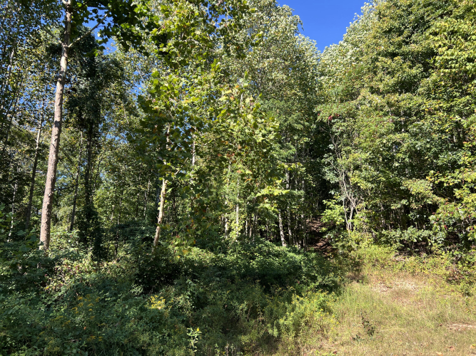 Listing Image 19