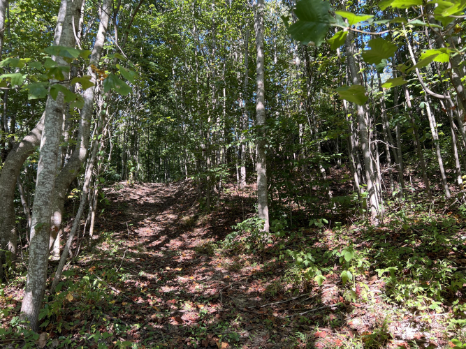 Listing Image 21
