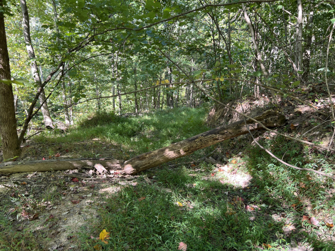 Listing Image 23