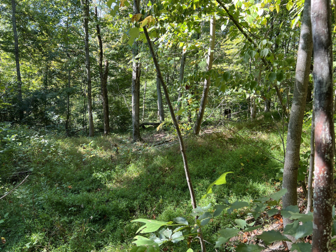 Listing Image 24