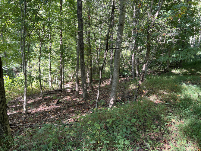 Listing Image 25
