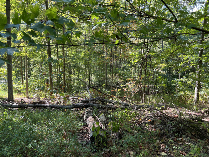 Listing Image 26