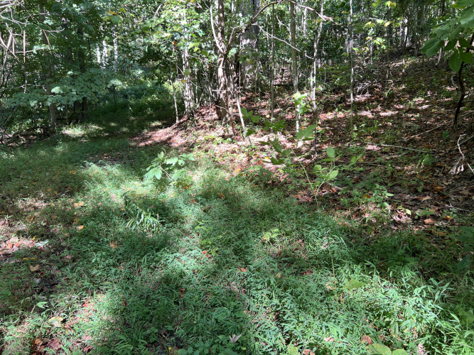 Listing Image 27
