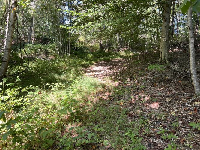 Listing Image 28