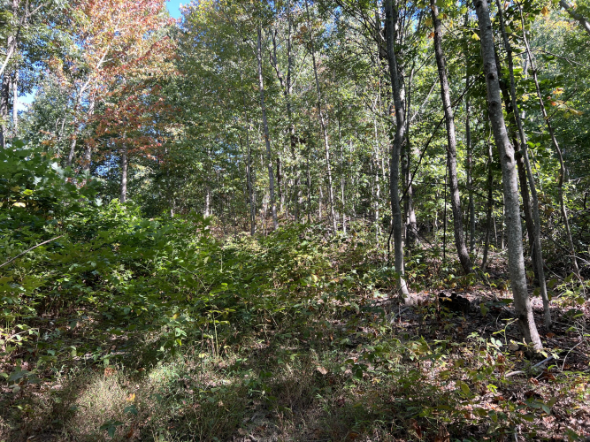 Listing Image 29