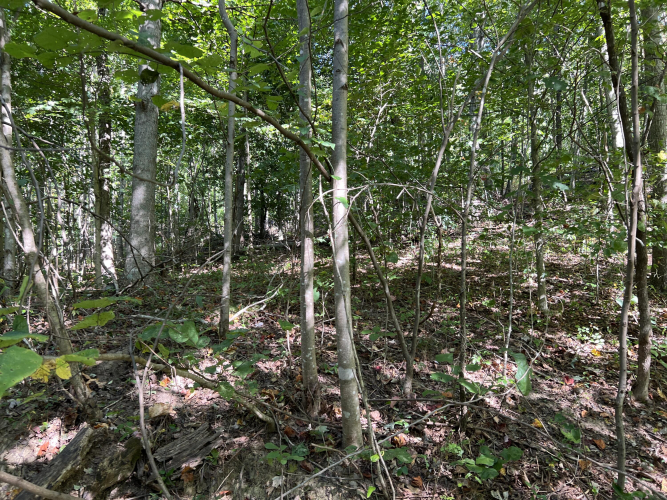Listing Image 30