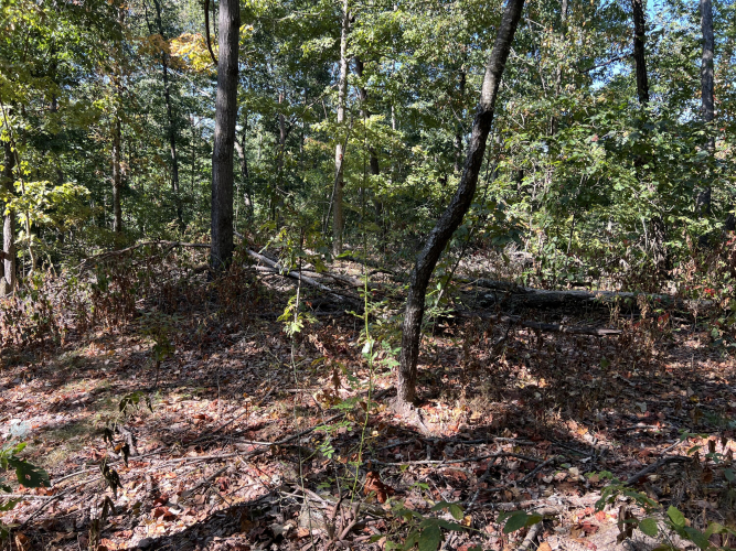 Listing Image 31