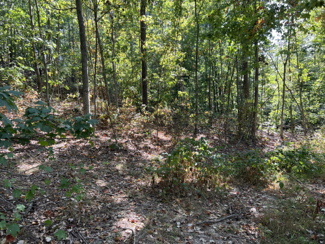 Listing Image 32