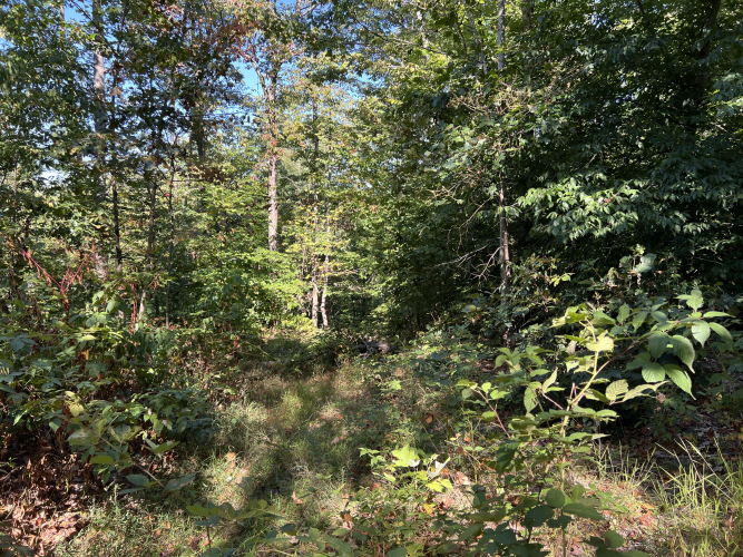 Listing Image 33