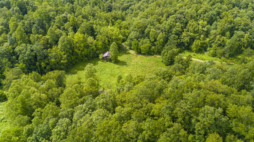 Listing Image 14