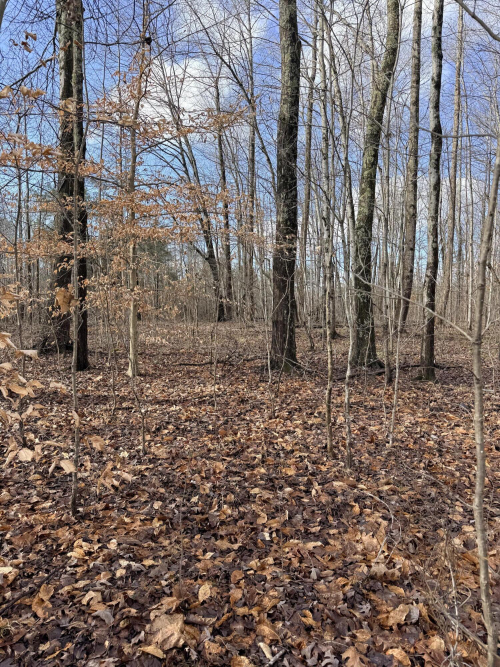 Listing Image 19