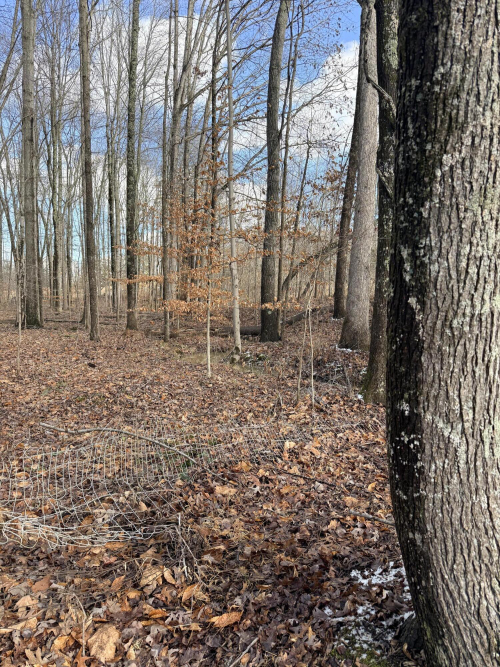 Listing Image 21