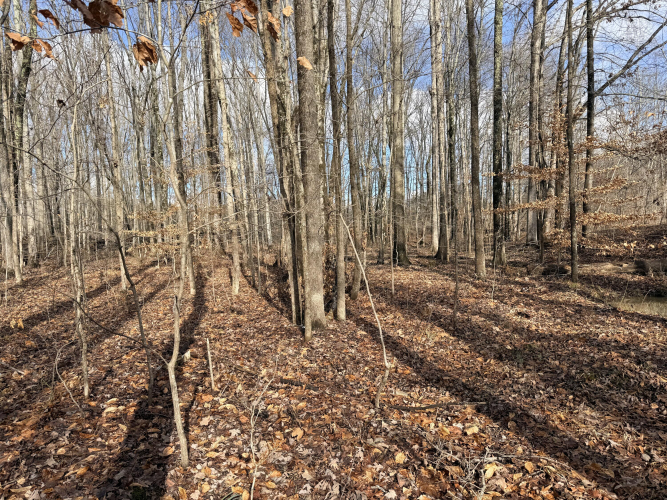 Listing Image 24