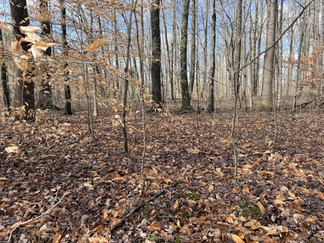 Listing Image 27