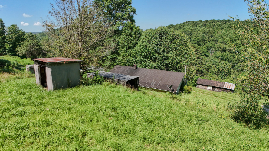 Listing Image 4