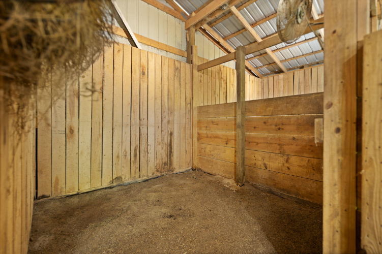 Listing Image 37