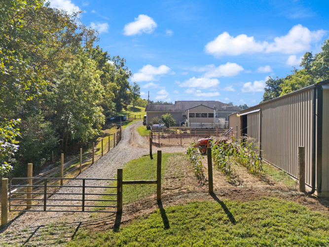 Listing Image 64