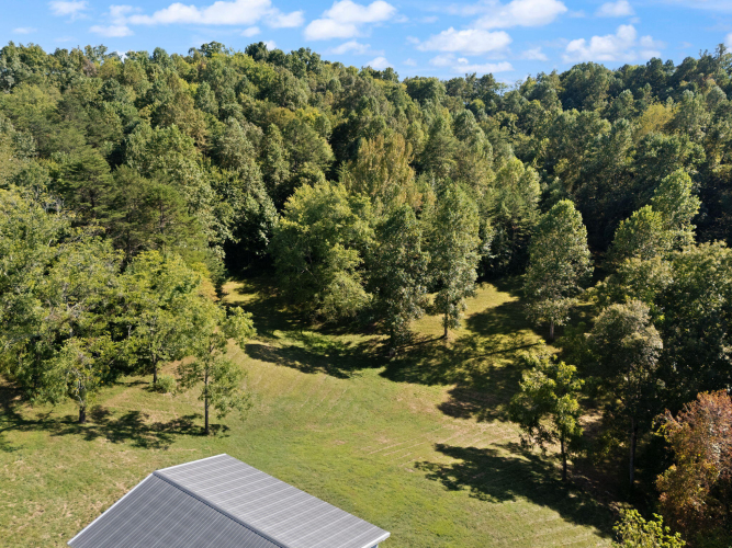 Listing Image 79