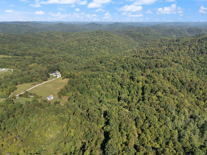 Listing Image 89