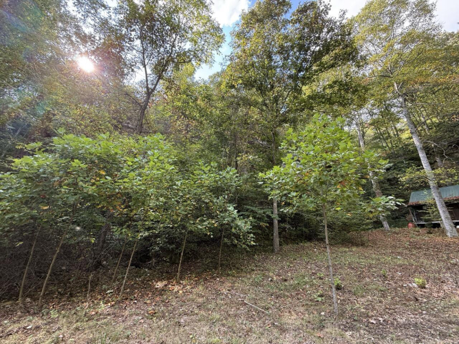Listing Image 14