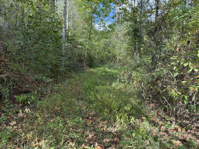 Listing Image 24
