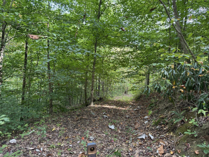 Listing Image 28