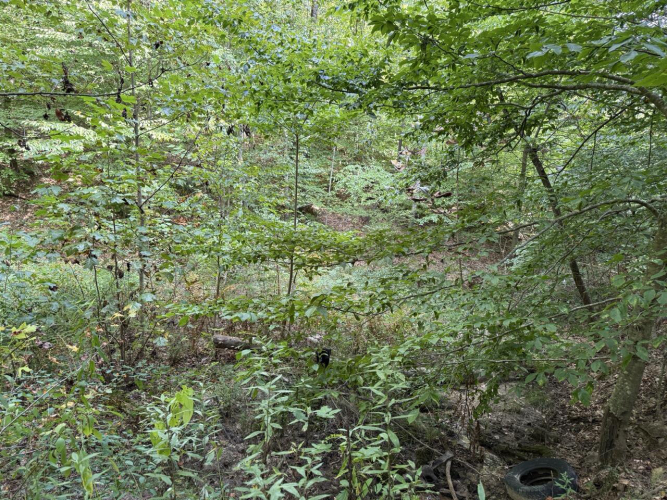 Listing Image 31