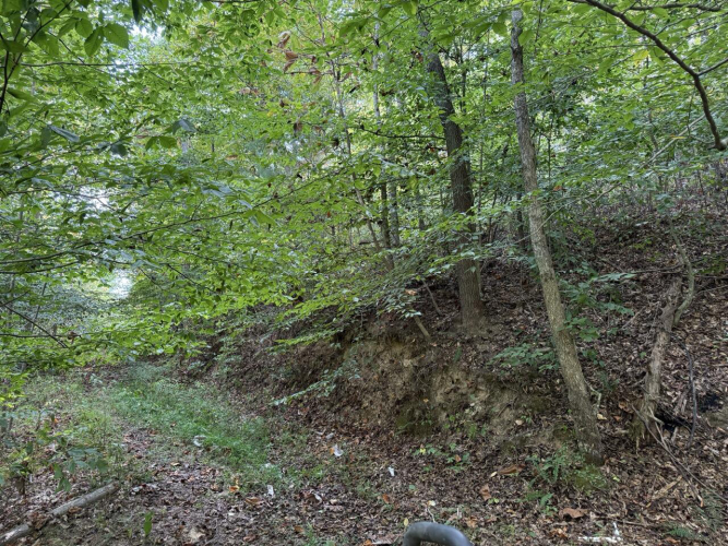 Listing Image 32