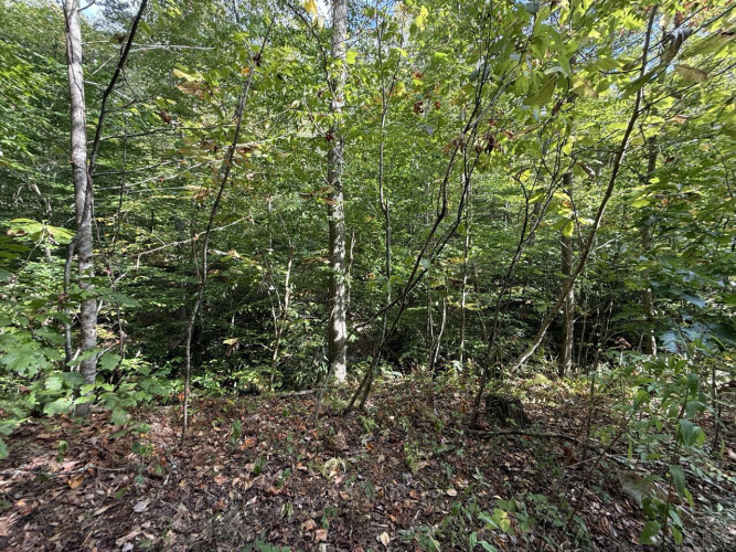 Listing Image 35