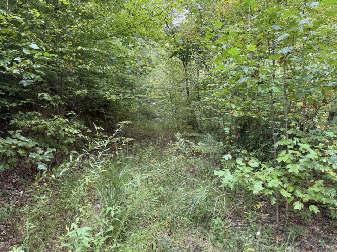 Listing Image 36
