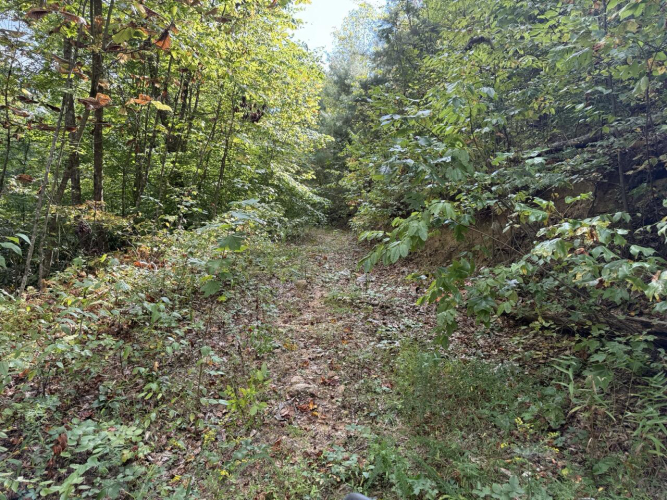 Listing Image 37