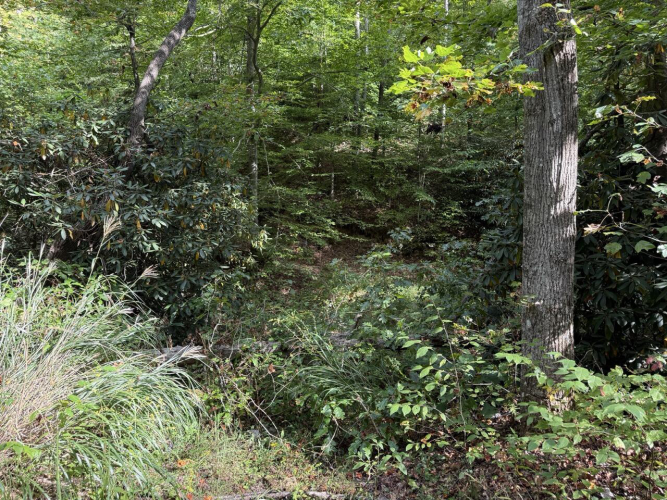 Listing Image 38