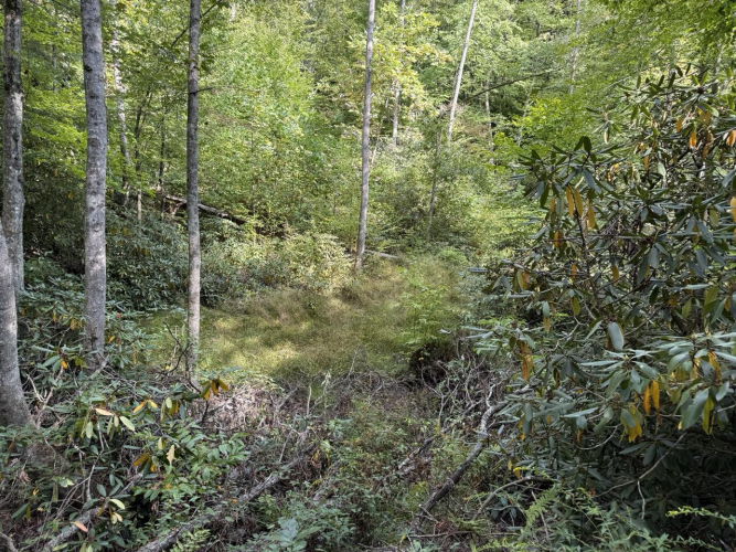 Listing Image 40