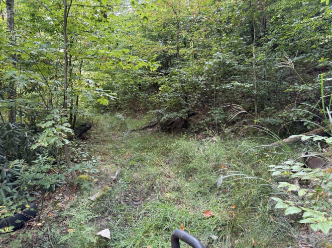Listing Image 41
