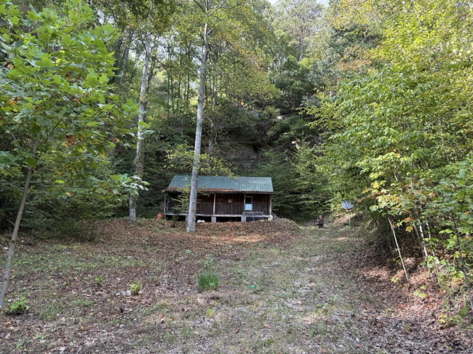 Listing Image 10