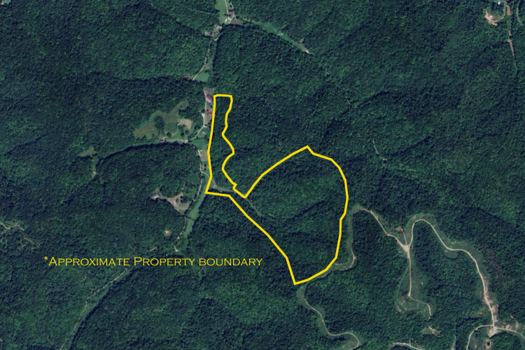Listing Image 23