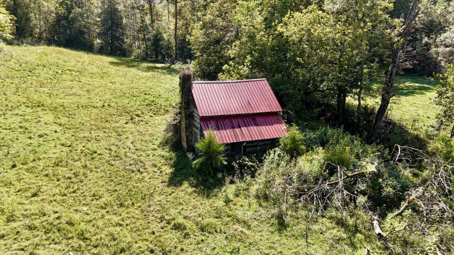 Listing Image 4